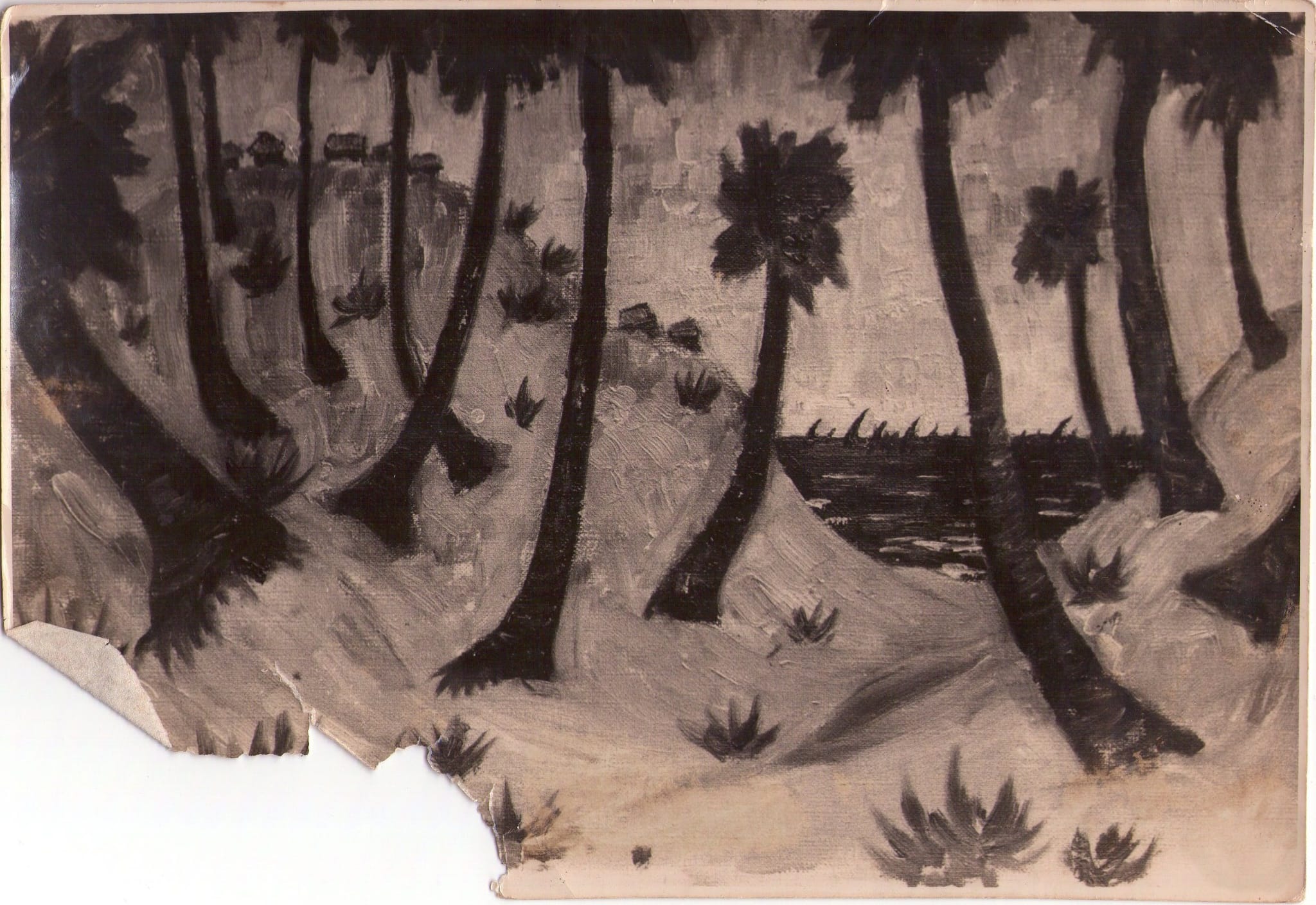 Landscape with palm trees